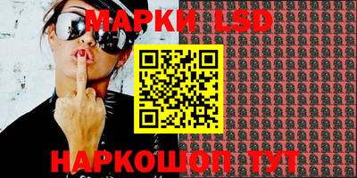 apvp Канаш