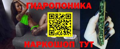 PSILOCYBIN Камышлов