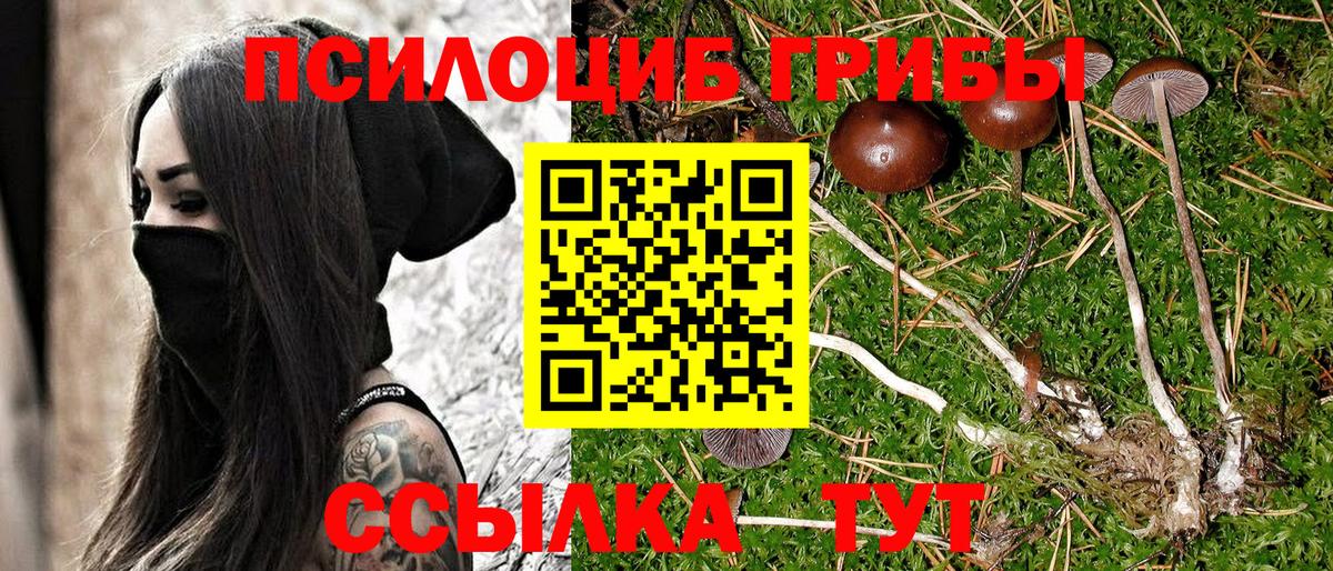 Псилоцибиновые грибы Cubensis  Вход с VPN  что такое наркотик  Фролово 
