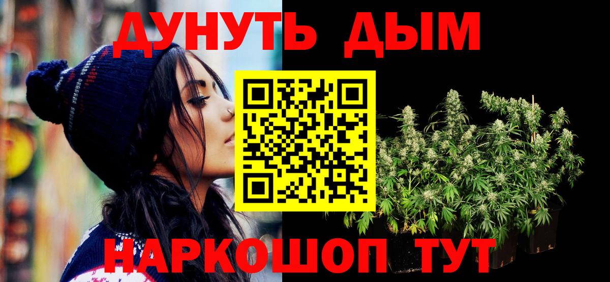 Канабис сатива Фролово